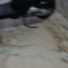 موتور هندا توپی