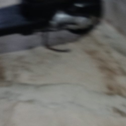 موتور هندا توپی