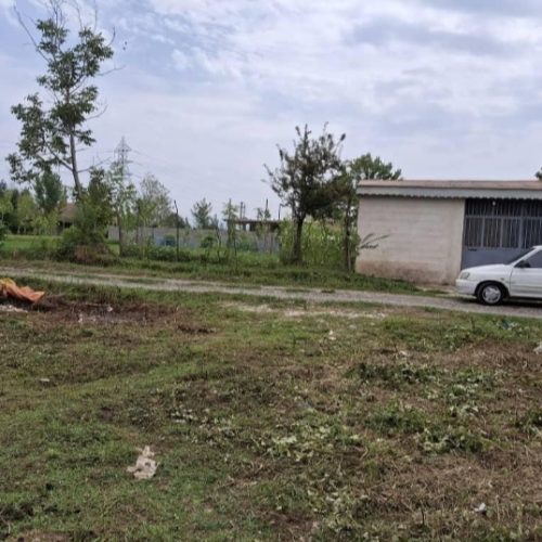 فروش زمین 700 متری مسکونی شکاری