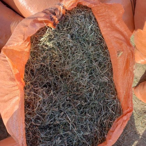 یونجه گونی شده