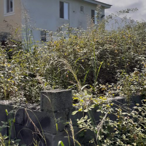 فروش زمین در مازندران نوشهر ملکار