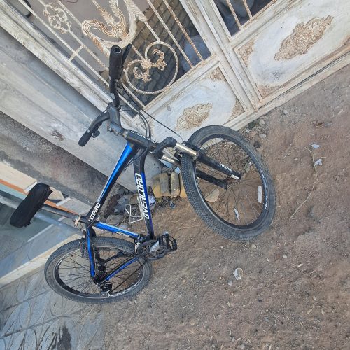 دوچرخه اورلورد