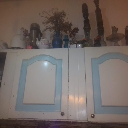 کآبئنت و سینگ دو قلو و تک جنس البرز سالم