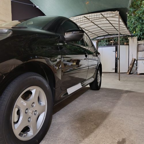 واکس…پالش…تخصوصی