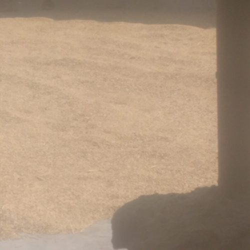 باسلام مقدار200کیلوبرنج تاززه خشک شده