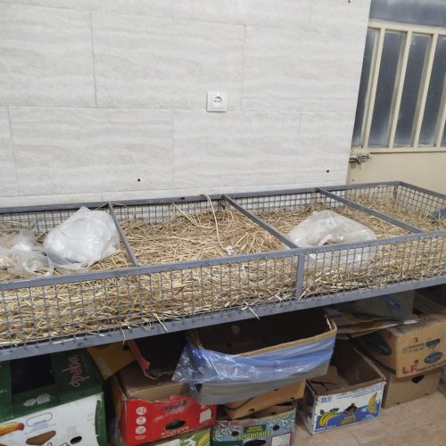 میز میوه فروشی