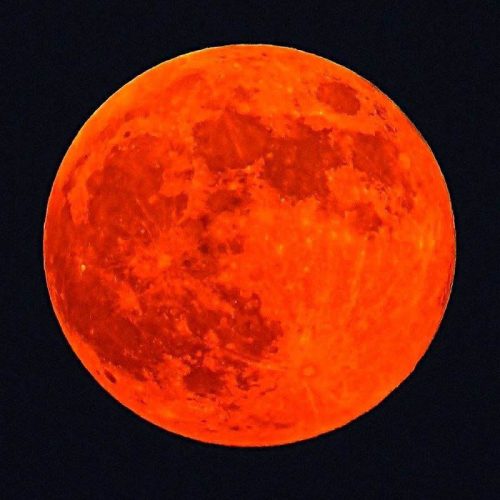 استخدامی