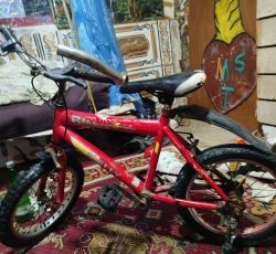 دوچرخه رالی 16