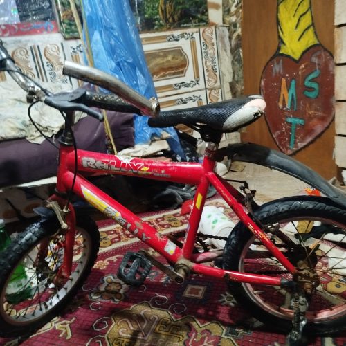 دوچرخه رالی 16