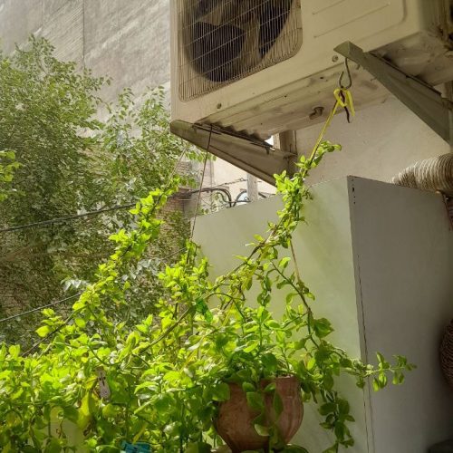 رهن و اجاره آپارتمان در بهترین موقعیت