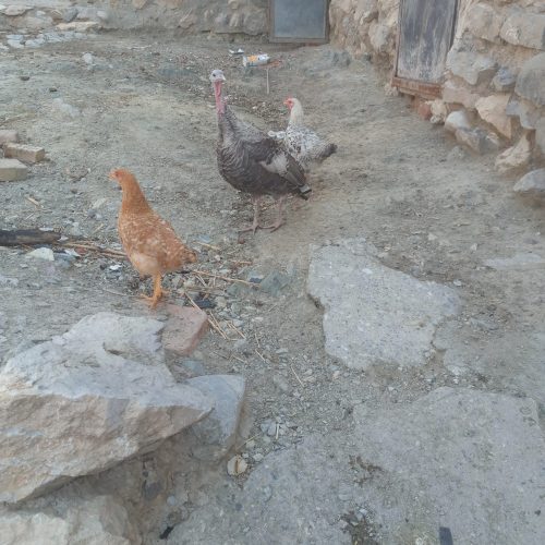 نمی توانم نگه داری کنم