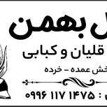زغال بهمن