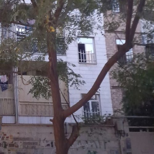 فروش آپارتمان 50 متری