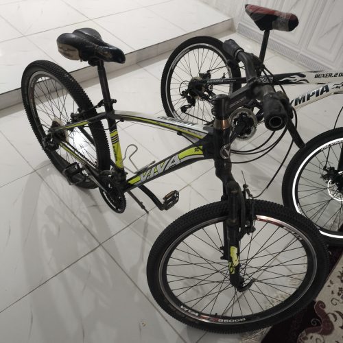 دوچرخه ویوا اکسیژن