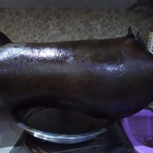 پوست گوسفند