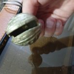 قلاده سگ  و زنگوله