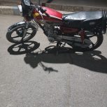 برمودا