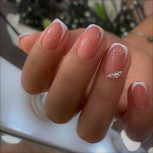 مدل ترمیم و کاشت