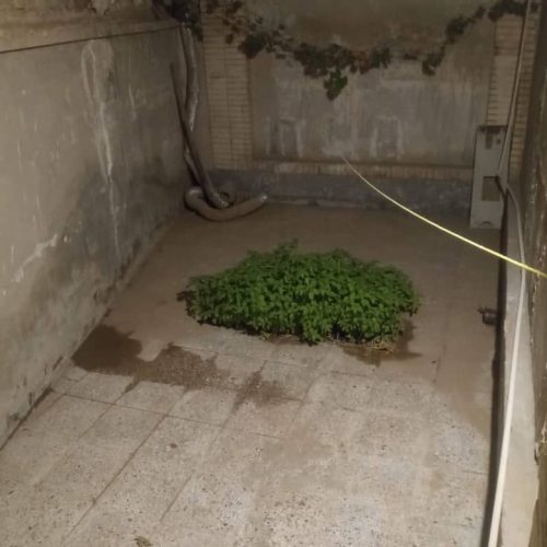 اجاره آپارتمان