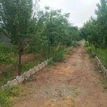 باغ ، باغچه پاکدشت (جیتو)