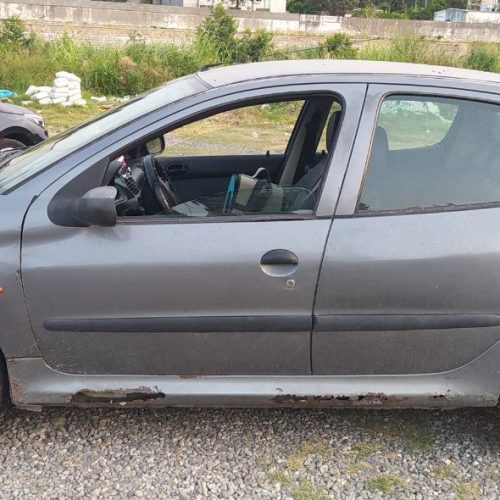 فروش فوری 206 تیپ 2