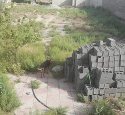 چهار دیواری 1000 متر مربعی