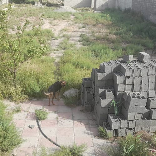 چهار دیواری 1000 متر مربعی