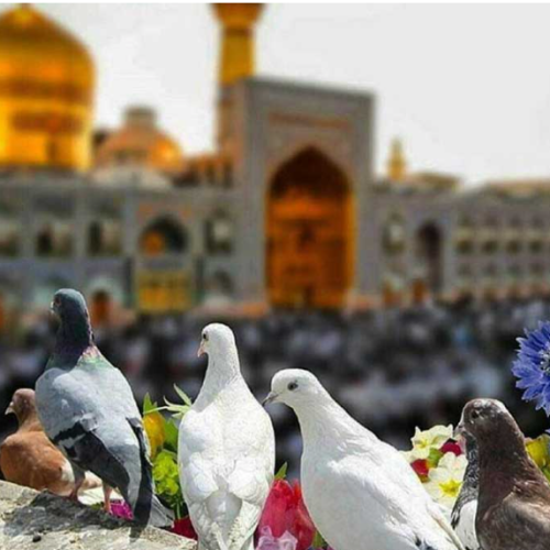 تور هوایی مشهد