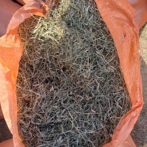 یونجه گونی شده