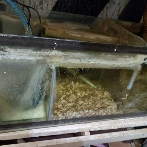 اکواریوم با موتور