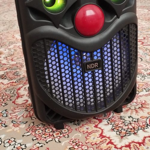 باند اسپیکر در حد