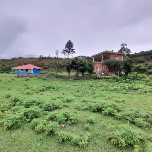 زمین 15000 متری