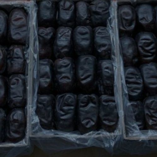 خریدار خرما کارتنی
