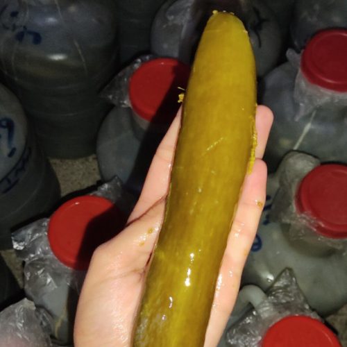 خیارشور