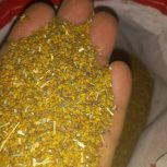 بذر یونجه درجه یک