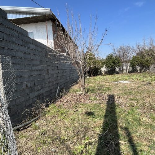 339 متر زمین واقع روستای حاجی‌کلا خیابان شهید صالحی