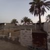 فروش گاوداری