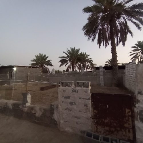 فروش گاوداری