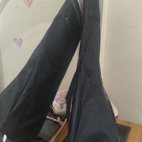 کمانچه لری کیفیت صدا عالی همراه کاور ارشه