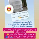 تور خشک کن میوه و سبزیجات