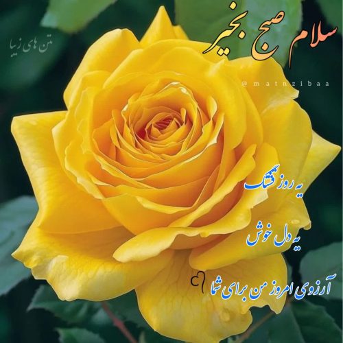 نظافت خودرو زیر قیمت