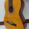 گیتار آریا