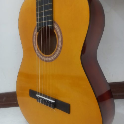 گیتار آریا