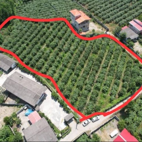 فروش باغ گیوی