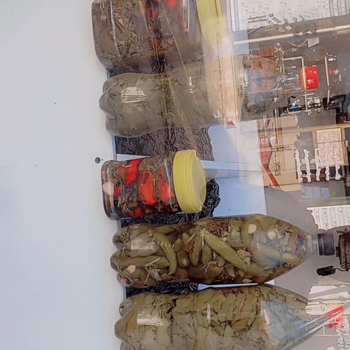 خیارشور برگ مو