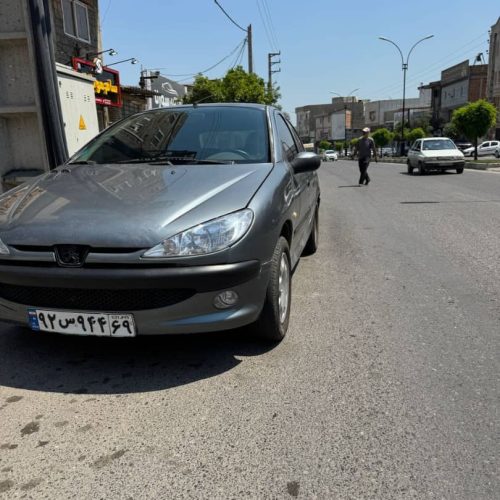 206 تیپ 2 دور رنگ