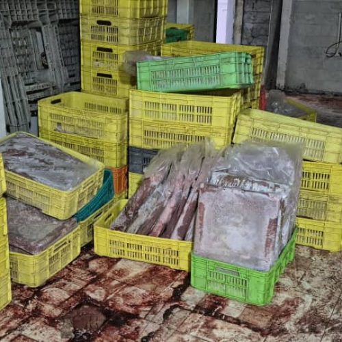 کارگرجوان 20سال