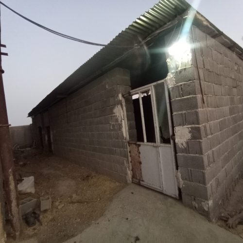 فروش گاوداری