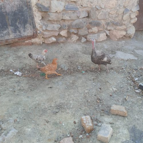 نمی توانم نگه داری کنم