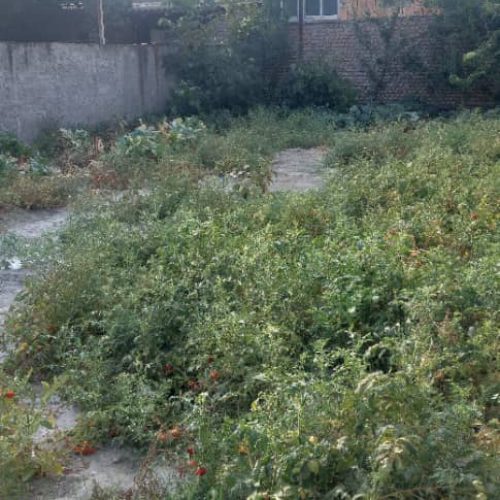 زمین خانه سرا